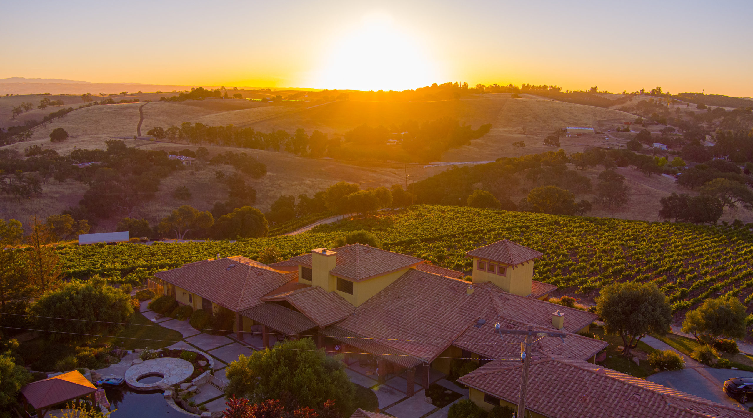 Vineyard view of estate house